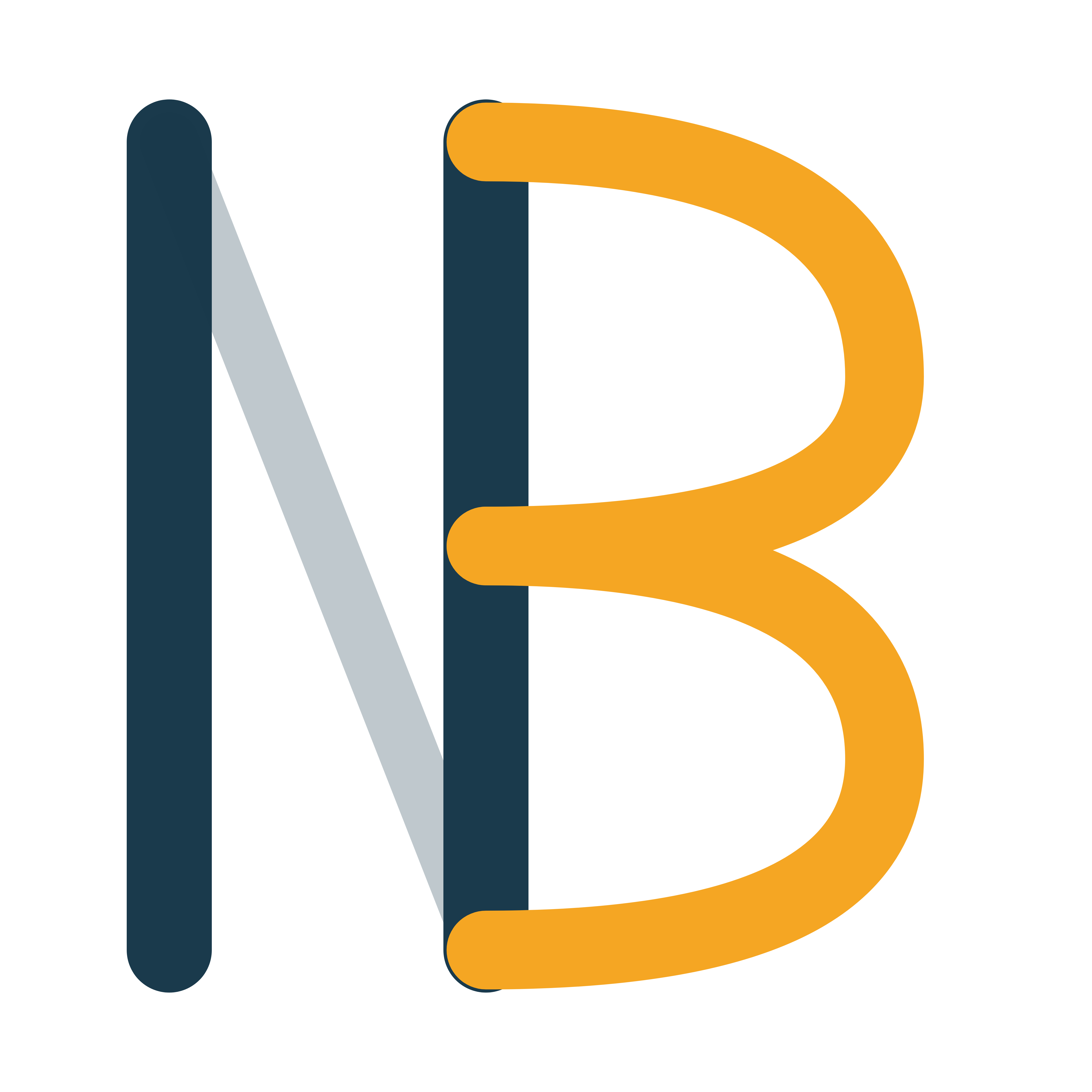 Logo NB Formation